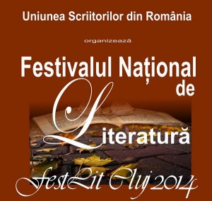 Afis Festlit cu program mc