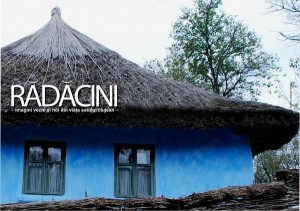 afis-RADACINI-BaiaMare-web