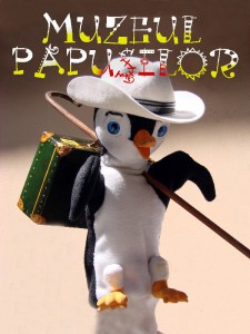 AFIS  MUZEUL PAPUSILOR