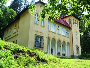 Muzeu