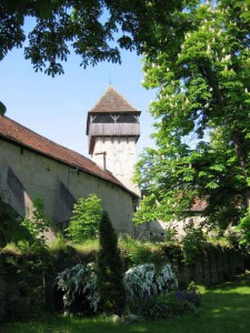 Info_Cetatea Calnic2