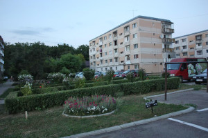 Parculete-1