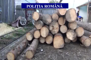 Perchezitii-Savadisla-3