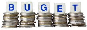 Stacks of coins with the word BUDGET isolated on white background