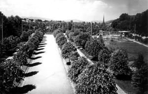 Zilele-parcului