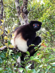 Madagascar-9