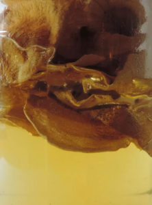 Mellis-Rosatum-1