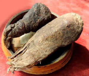 castoreum-2