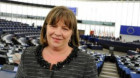 Eurodeputatul Norica Nicolai: Singura soluţie pentru UE este să îşi întărească coeziunea internă