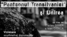 Festivalul Internaţional de Teatru Turda 2018. Vizionarea scurtmetrajului “«Panteonul Transilvaniei» şi Unirea”