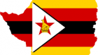 Zimbabwe: Emmerson Mnangagwa, ales preşedinte, o victorie imediat respinsă de opoziţie