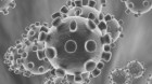 Noul coronavirus nu a fost creat de om și nici nu a fost modificat genetic, consideră serviciile secrete americane