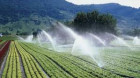 Agenţia de Îmbunătăţiri Funciare afirmă că va asigura apa pentru irigaţii
