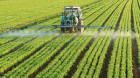 România, în topul utilizatorilor de pesticide