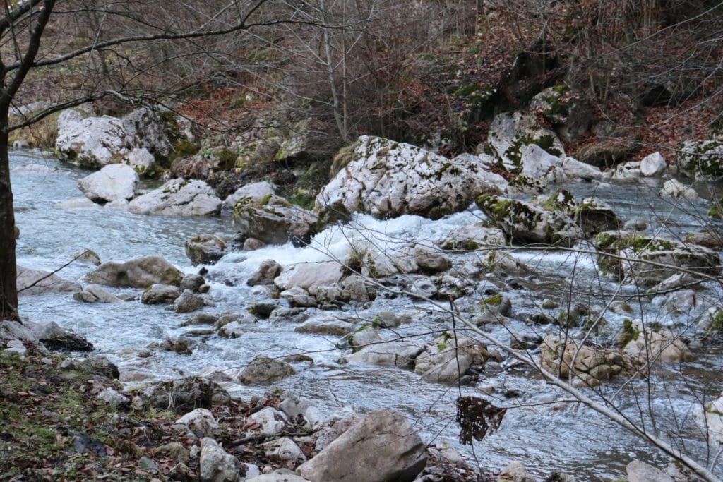 papara12 (2)