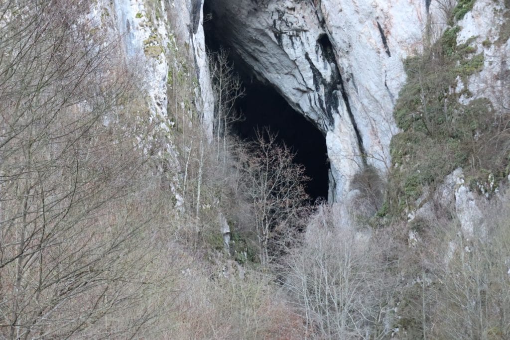 papara2