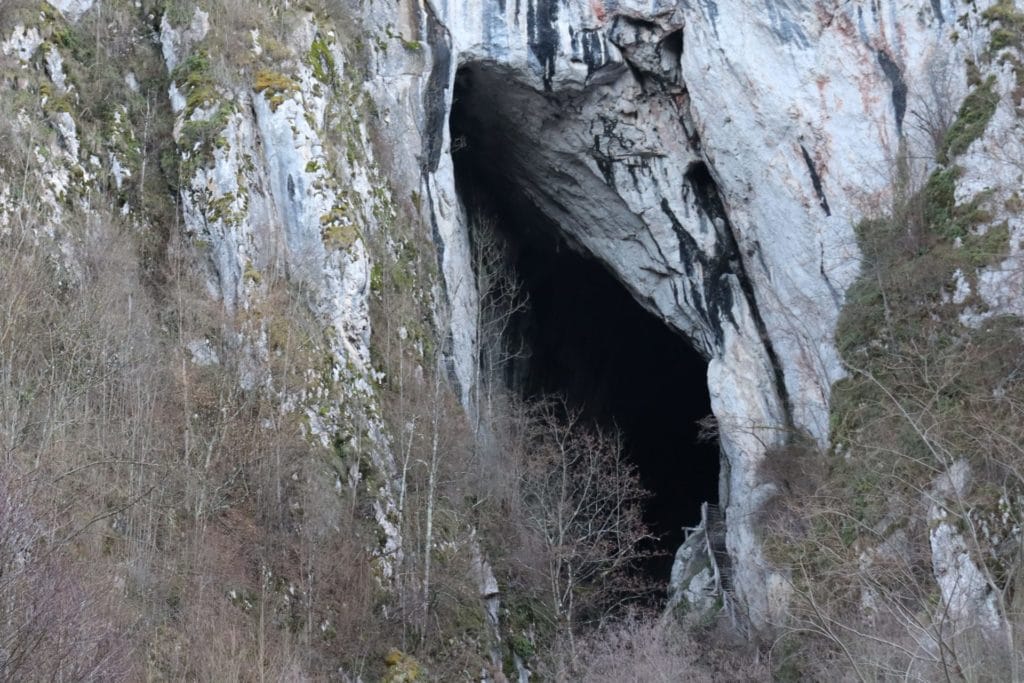 papara5