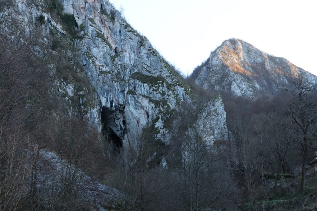 papara9
