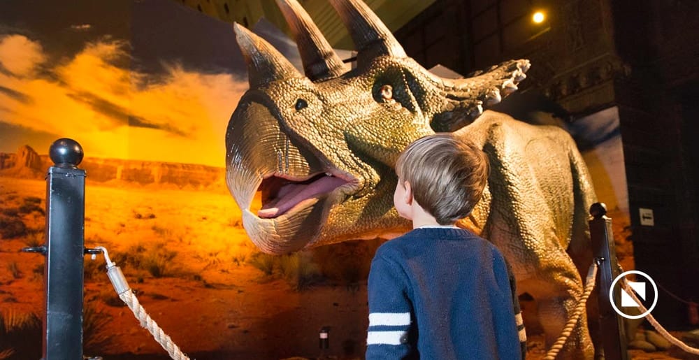 Dinosaurs2