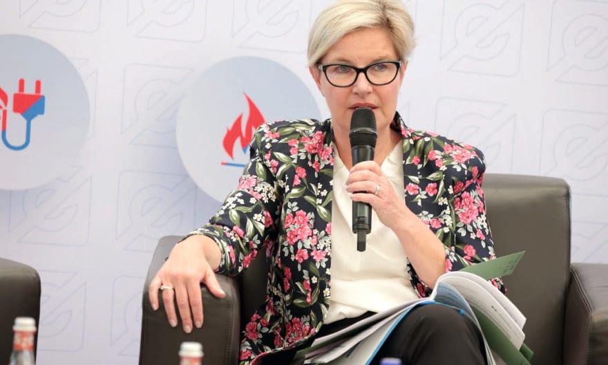 Hegedus Csilla, secretar de stat la Ministerul Investițiilor și Fondurilor Europene