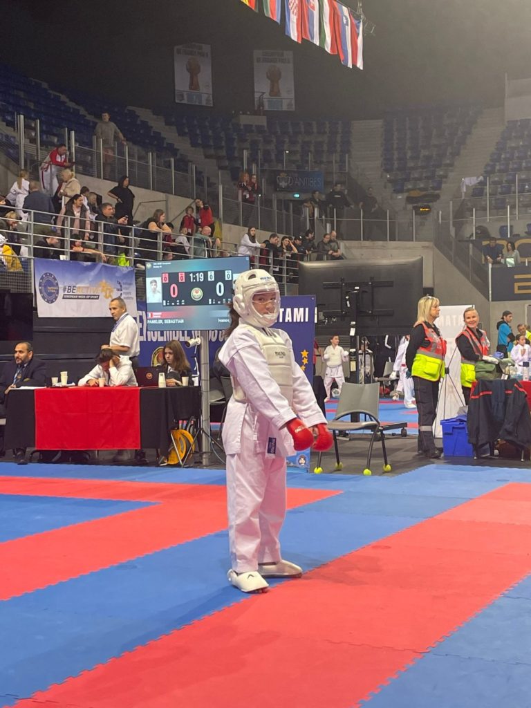 karate 15